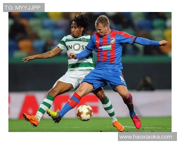 布里斯班狮吼与中央队激战在即谁能赢得这场精彩对决